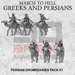 Persian Dromedaries riders