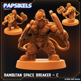 Rambutan Space Breaker C