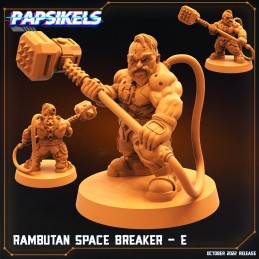Rambutan Space Breaker E