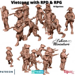 Vietcong with RPD