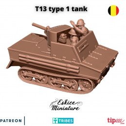 T13 Type 1