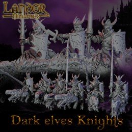 Dark elves knights