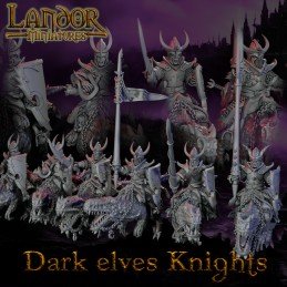 Dark elves knights Command...