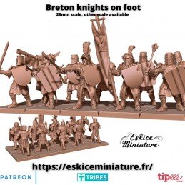Bretons Knights on foot