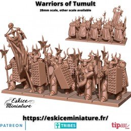 Warriors of the Tumult