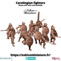 Carlolingians warriors