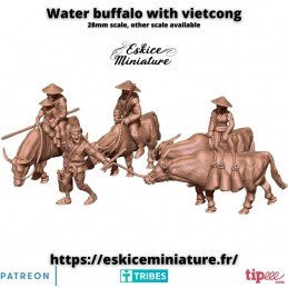 Water bufalos on Vietnam