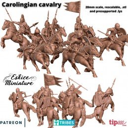 Carlolingians cavalry