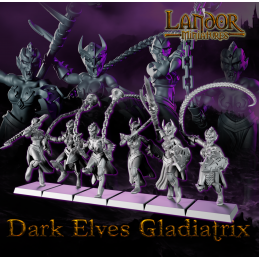 Gladiadoras elfas oscuras
