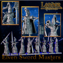 Elven sword masters
