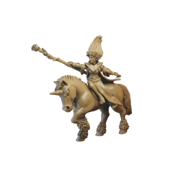 Mounted mage elf on unicorn