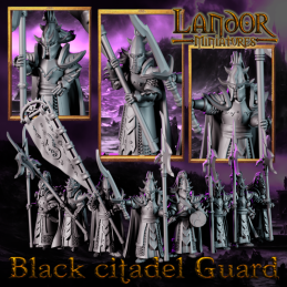 Black Citadel Guard