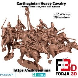 Carthaginian Heavy Cavalry