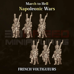 French Voltigeurs