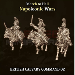 British cavalry command...