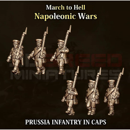 Prusian line infantry in caps