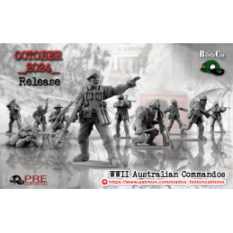 Australian commandos with...