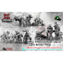 Light mortar team. French...