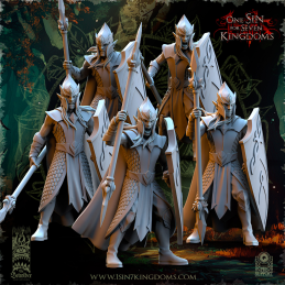 Milicia con lanzas y...