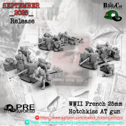 French 25mm hotchkiss cañón AT