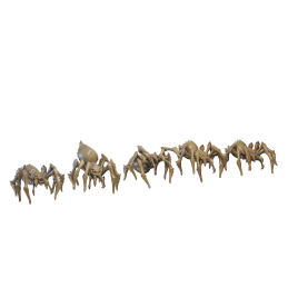 Arañas. Guerreros del Norte