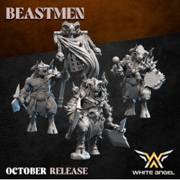 Grupo de mando de...