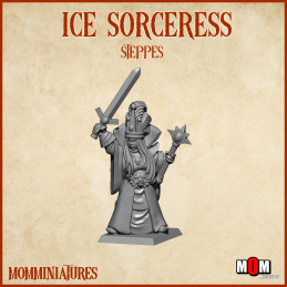 Ice sorceress. MOM Steppes