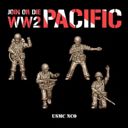 JoD USMC NCO. USMC infantry