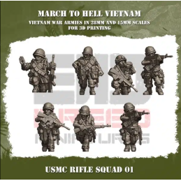 Escuadra de fusileros USMC...