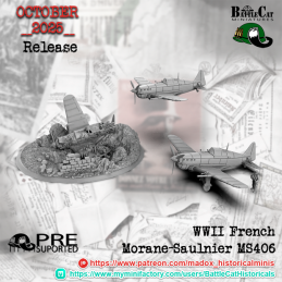 Morane-Saulnier MS406...