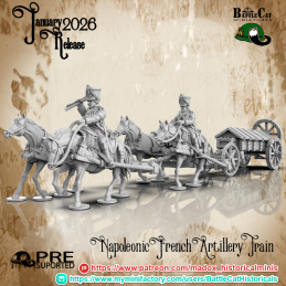 Tren de artillería francés...