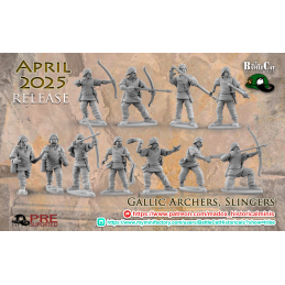 Gallic Slingers