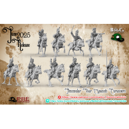 Napoleonic Spanish Hussars