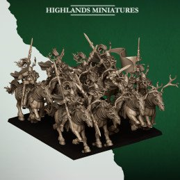 Jinetes del Bosque. Elfos...