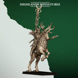 Grupo de mando de las...