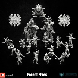 Equipo de Elfos del bosque