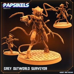 Grey Outworld Surveyor