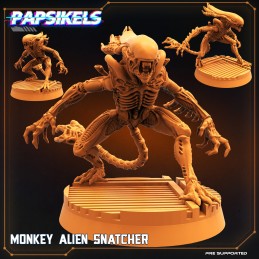 Monkey Alien Snatcher