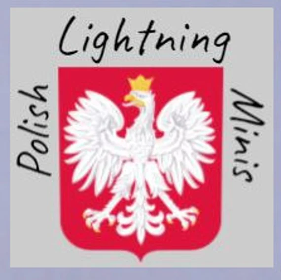 Polish Lighting miniatures